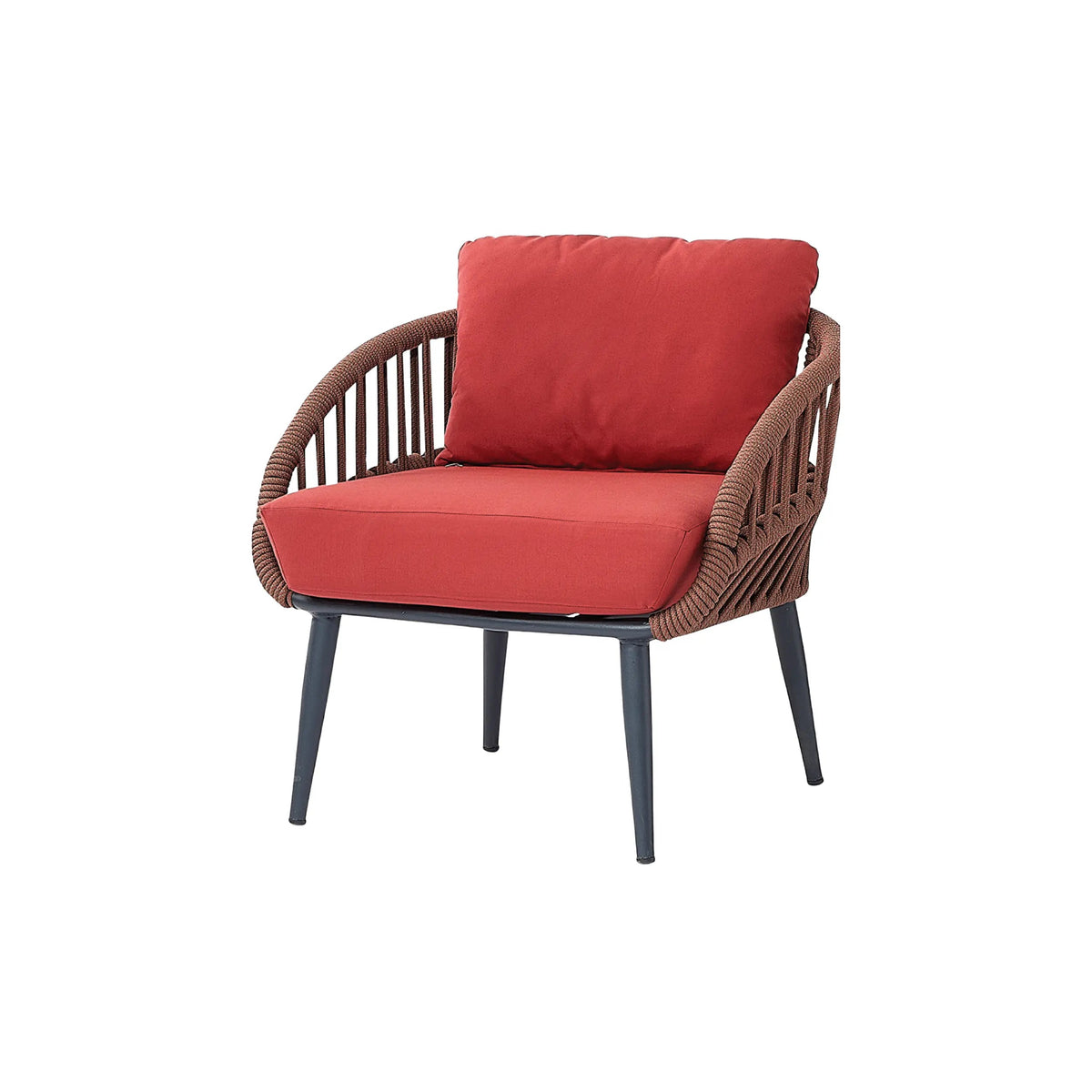 Lion Chair