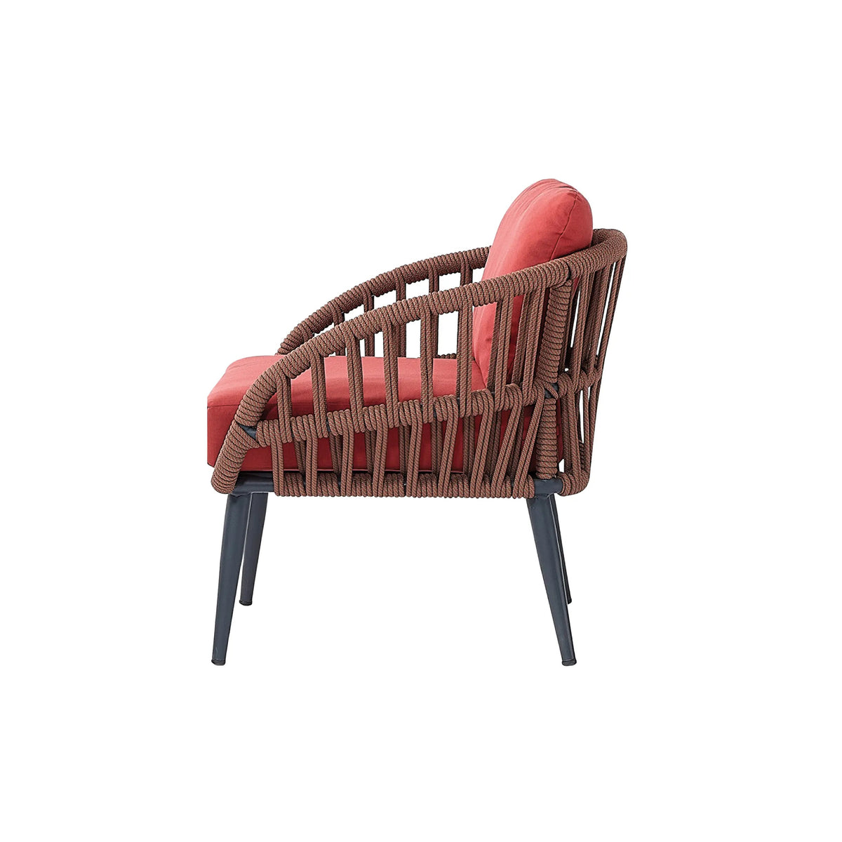 Lion Chair